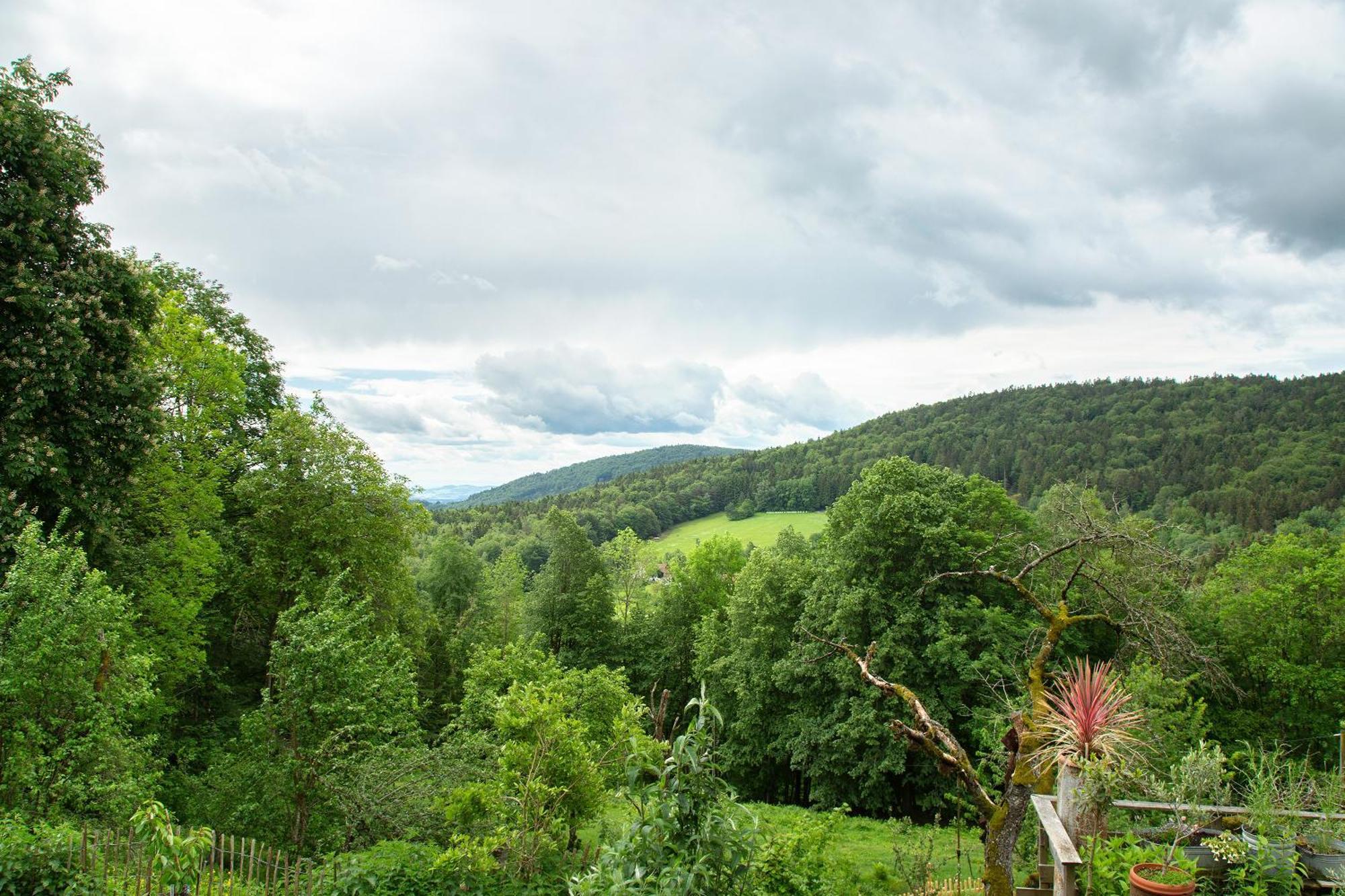 Landhaus Am Eselhof Daxstein Schöllnach المظهر الخارجي الصورة